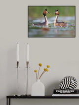 just married Poster och Canvastavla