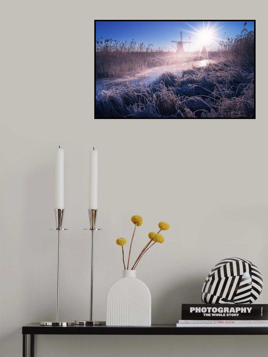 Real Poster och Canvastavla