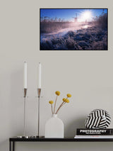 Real Poster och Canvastavla
