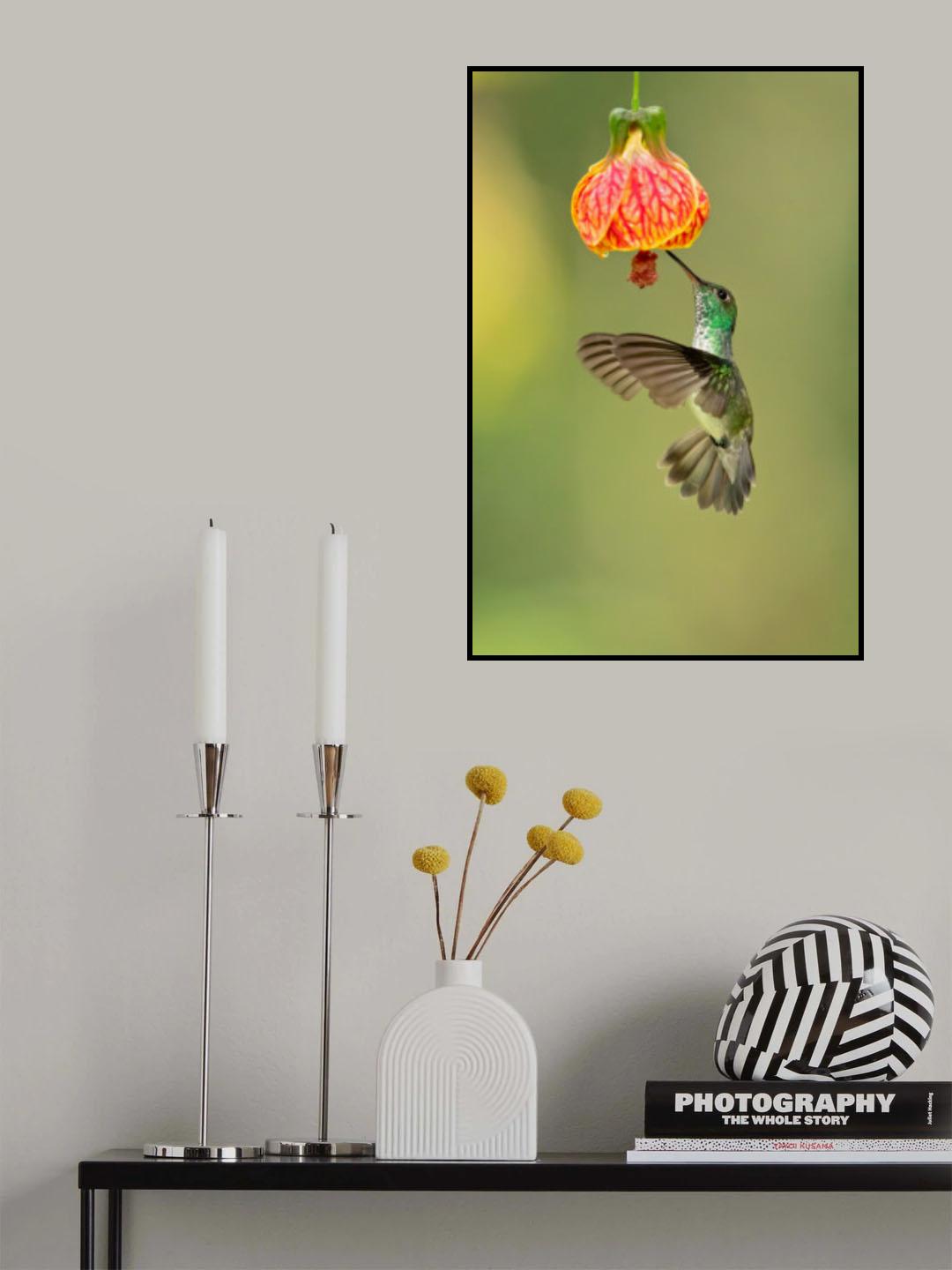 Versicolored emerald Poster och Canvastavla