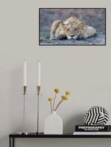 Bored Poster och Canvastavla