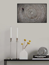 Circles Poster och Canvastavla