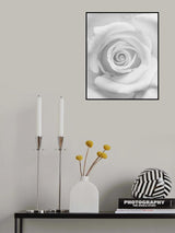 The Rose Poster och Canvastavla