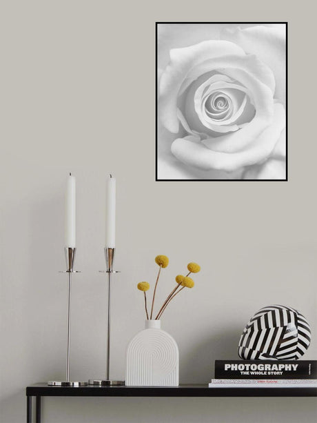 The Rose Poster och Canvastavla