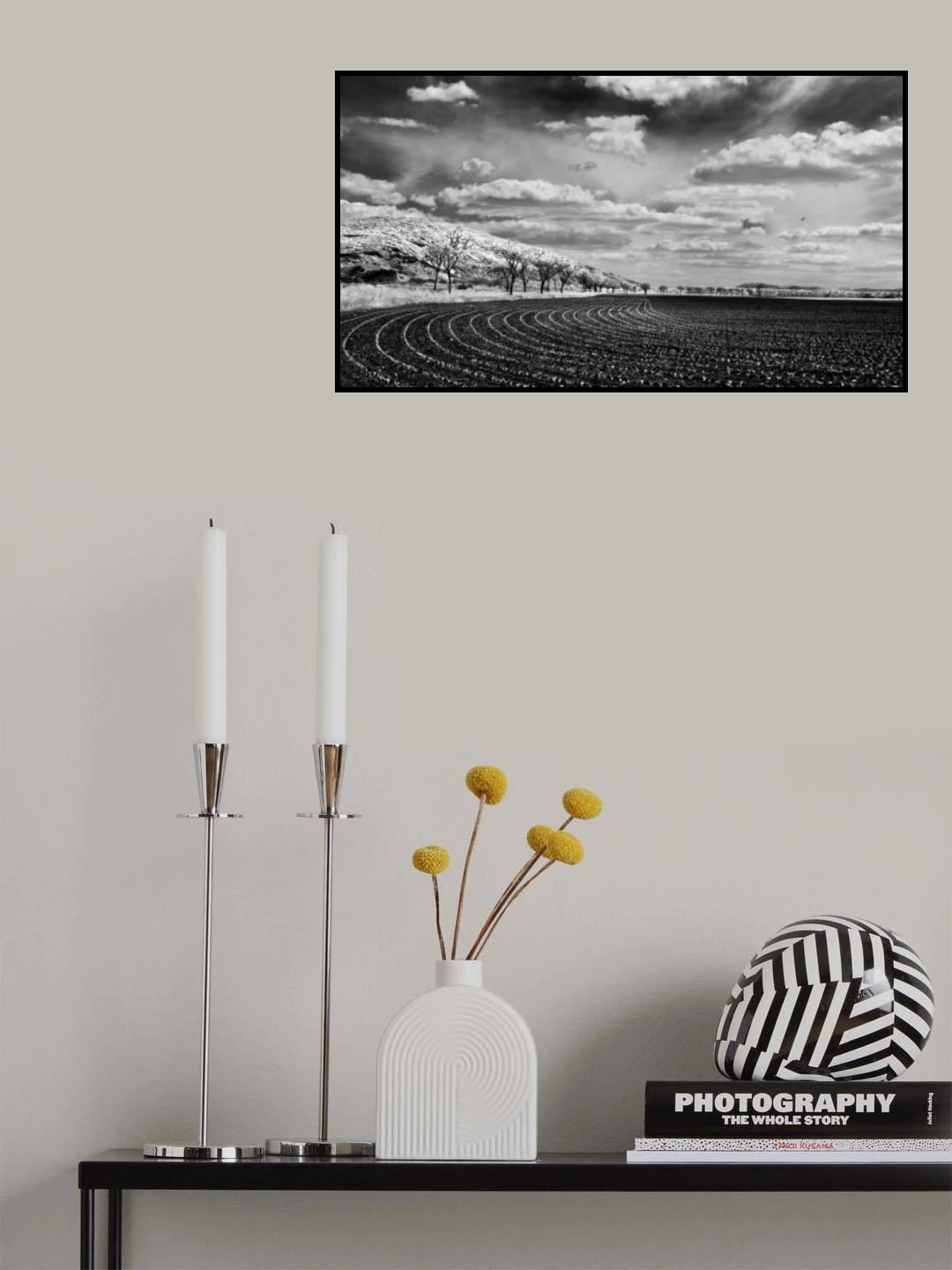 Bio athletic stadium Poster och Canvastavla