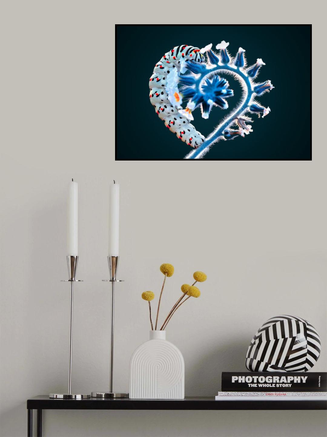 HEART Poster och Canvastavla