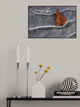 Frozen leaf Poster och Canvastavla