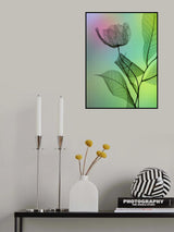 To Love Poster och Canvastavla