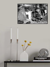 Matriarch Poster och Canvastavla