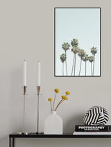 Blue Palm Trees Poster och Canvastavla