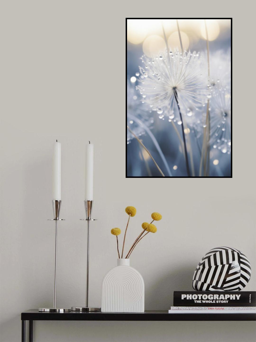 Drops On Dandelion Poster och Canvastavla