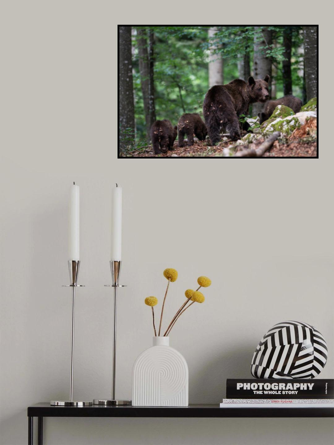 bear family Poster och Canvastavla