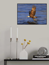 Homebound Poster och Canvastavla