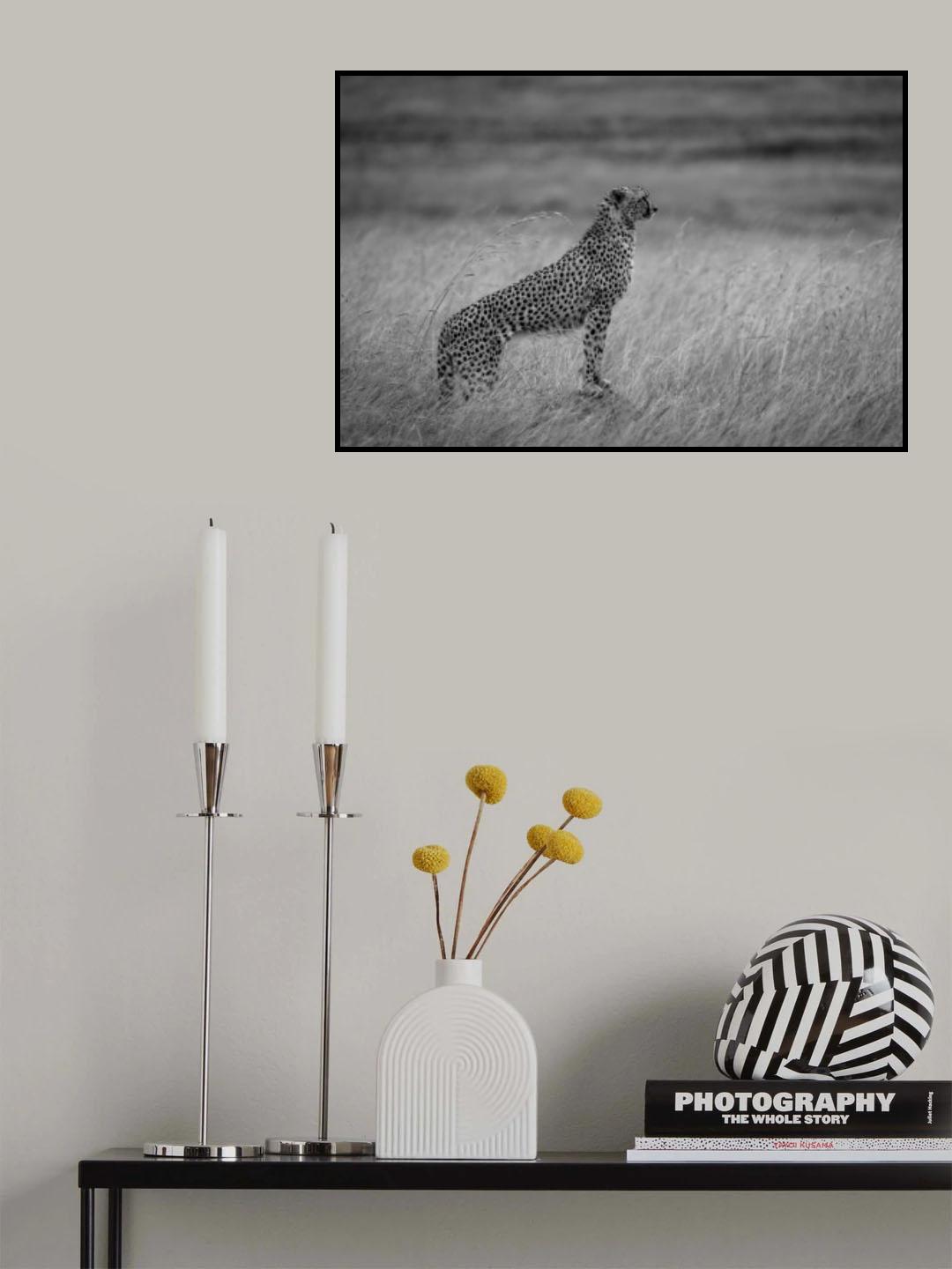 cheetah times Maratriangle Poster och Canvastavla