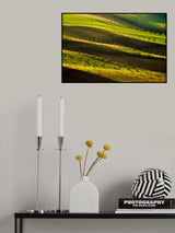 Moravian ribbon Poster och Canvastavla
