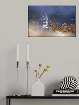 Partridge at dawn Poster och Canvastavla