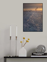 Ice-cream tree Poster och Canvastavla
