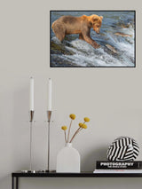Shoot Poster och Canvastavla