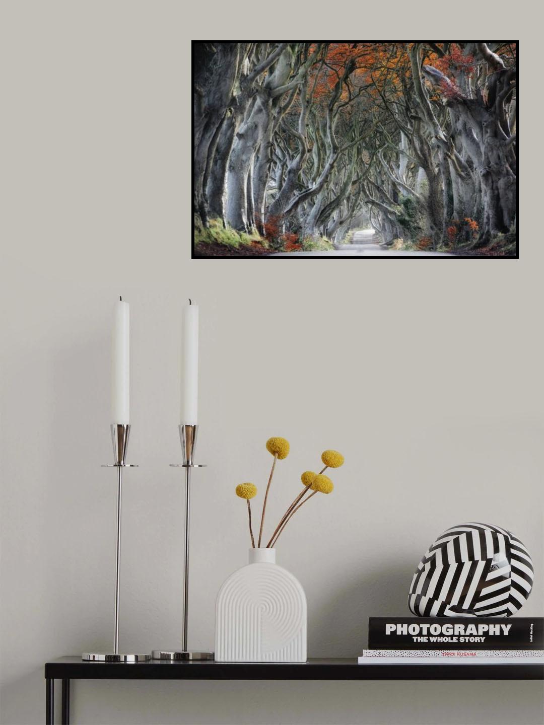 The Dark Hedges Poster och Canvastavla