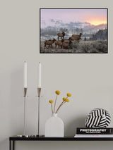 First Light Poster och Canvastavla