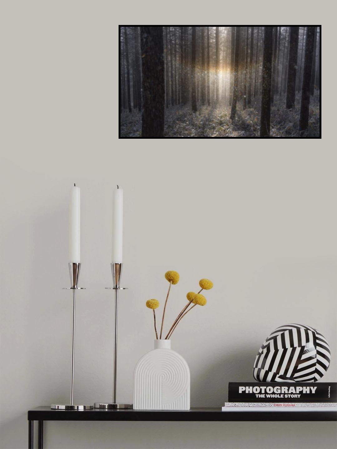 Sun dogs Poster och Canvastavla