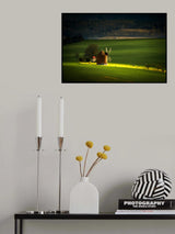 Chvalkovice Wind Mill Poster och Canvastavla