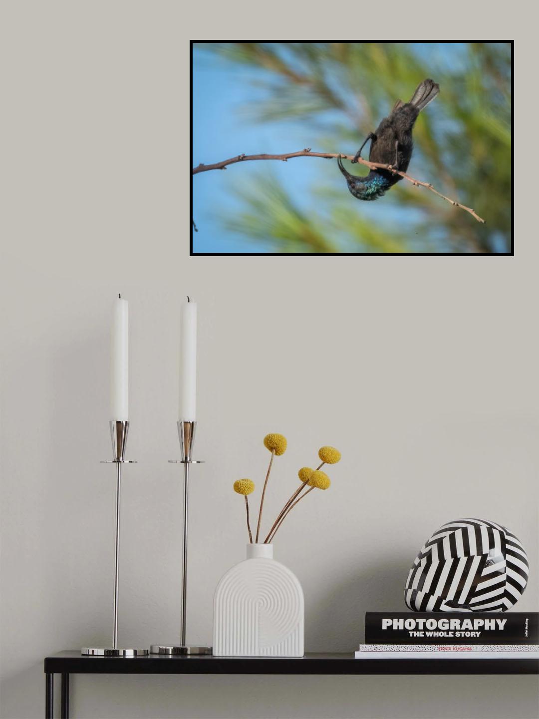 Standing upside down Poster och Canvastavla