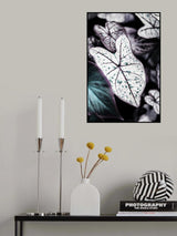 Botanical Saphire Poster och Canvastavla