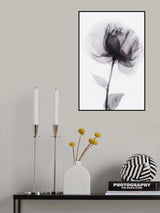 X Ray 3 Poster och Canvastavla
