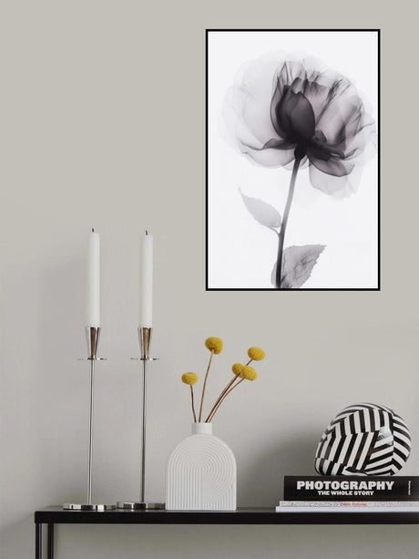 X Ray 3 Poster och Canvastavla