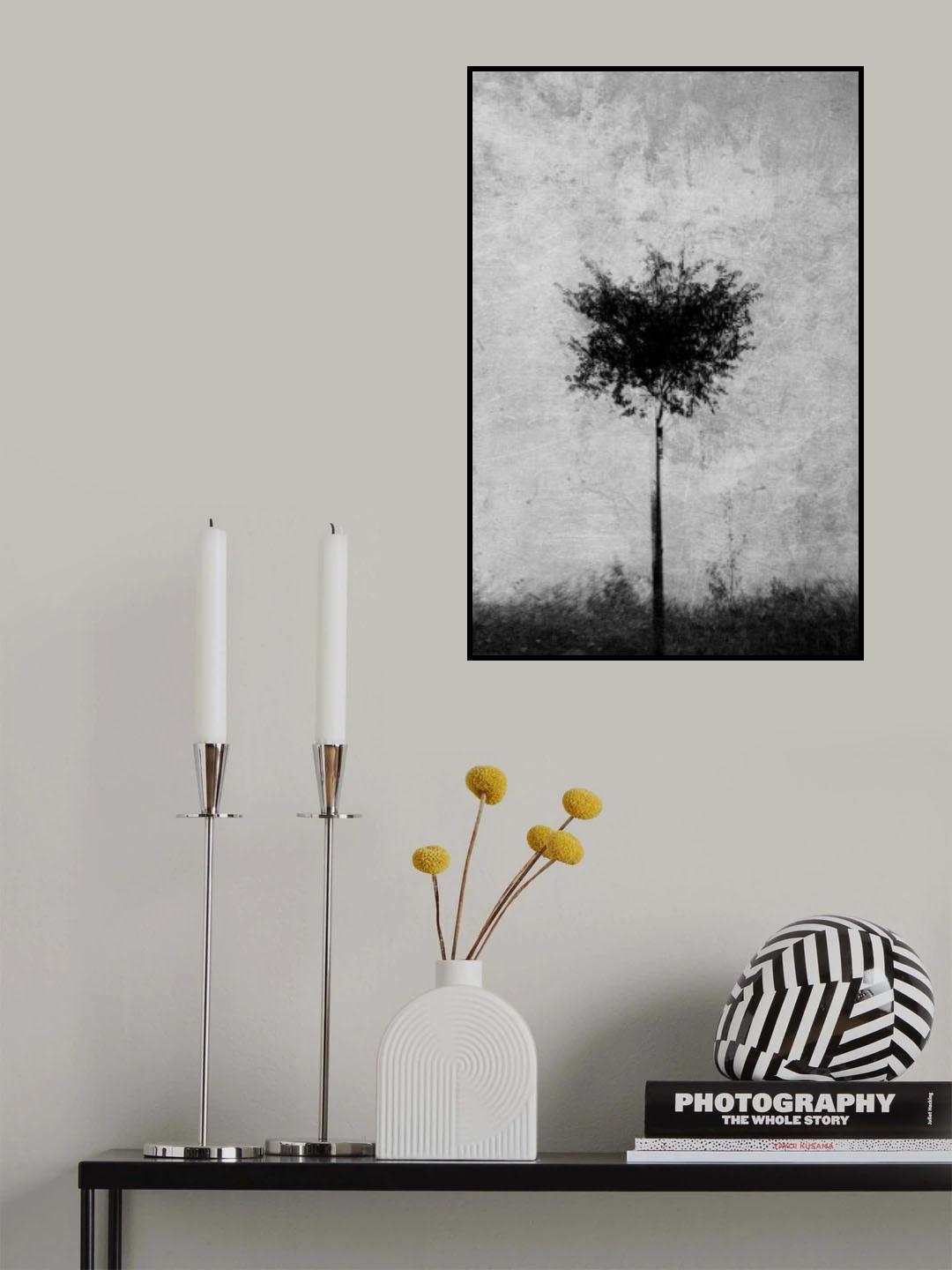 Tree in black and white Poster och Canvastavla