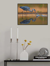 Breakfast at dawn Poster och Canvastavla