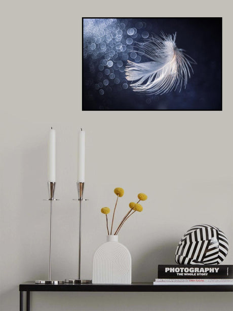 Placidity Poster och Canvastavla