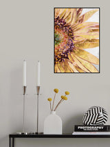 Golden sunflower Poster och Canvastavla