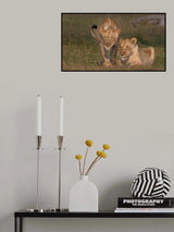 sister love Poster och Canvastavla