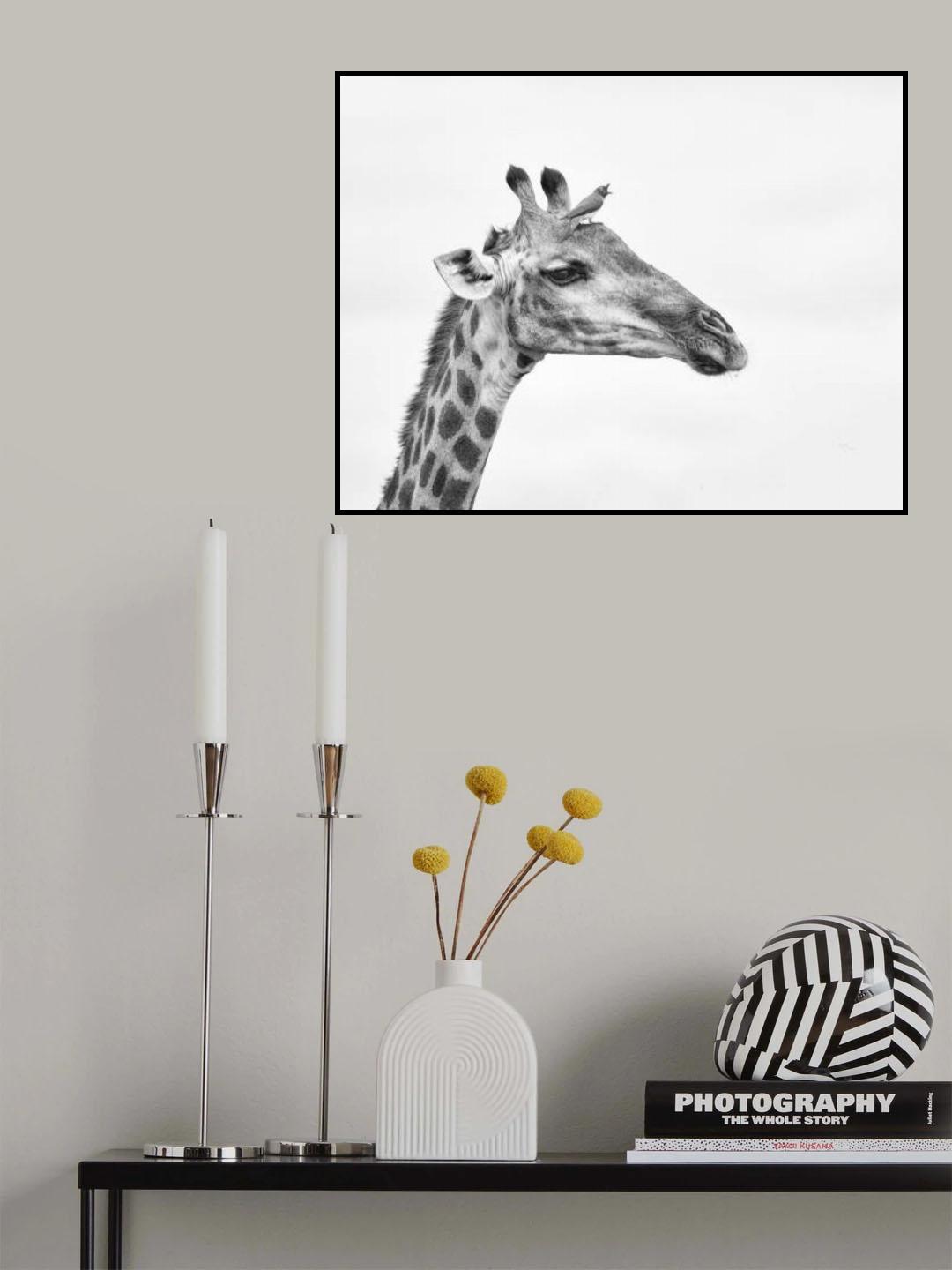 Bird  brain Poster och Canvastavla