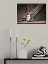 The reader Poster och Canvastavla
