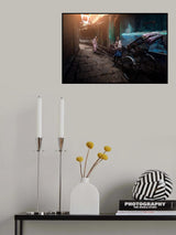 Moment from life Poster och Canvastavla
