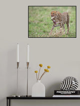 Hunting Poster och Canvastavla