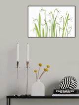 First Snowdrops Poster och Canvastavla