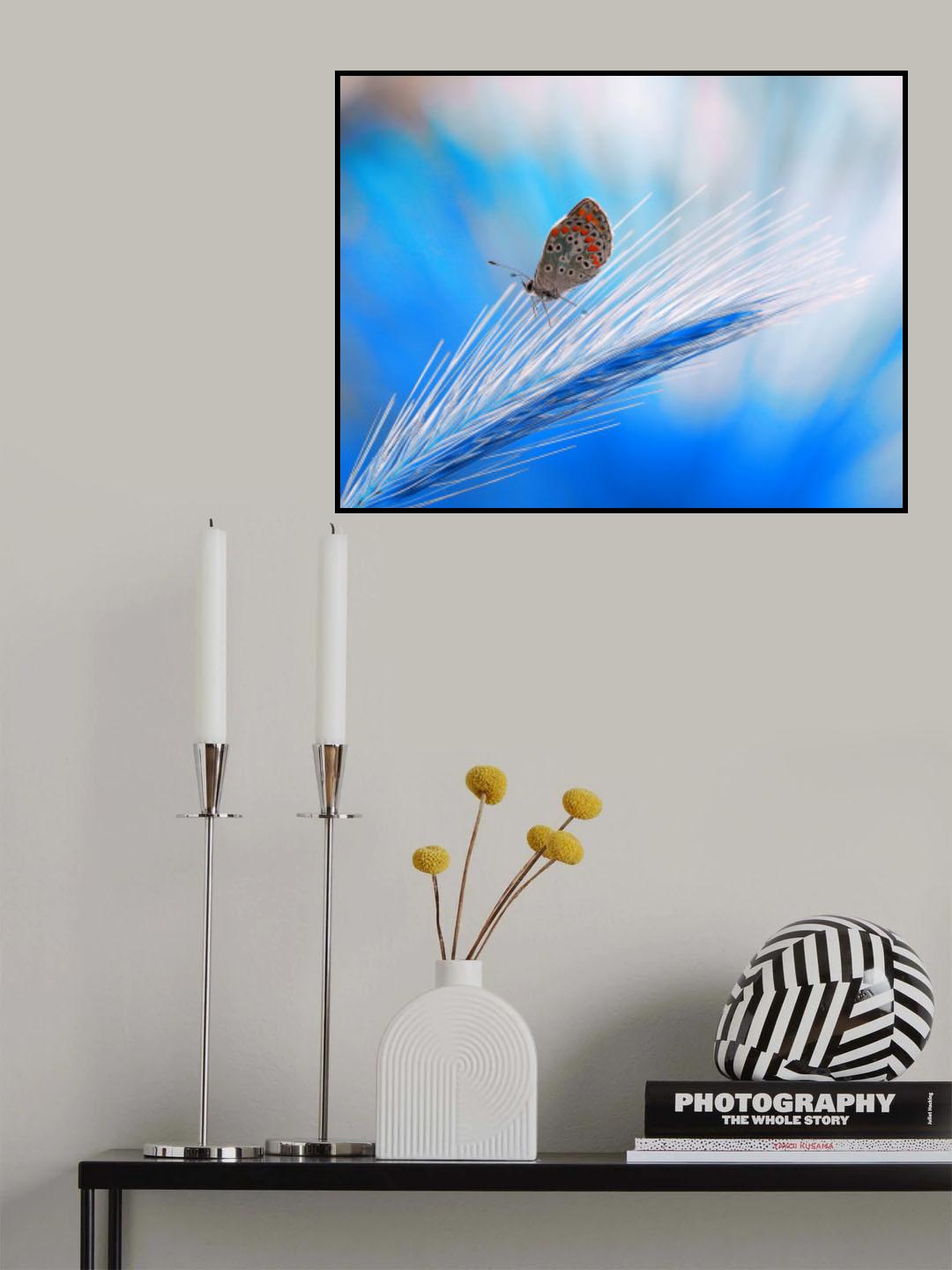 The butterfly's dream in blue... Poster och Canvastavla