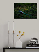 iridescence Poster och Canvastavla
