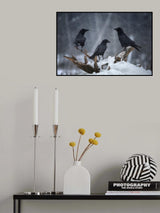 TRIO Poster och Canvastavla