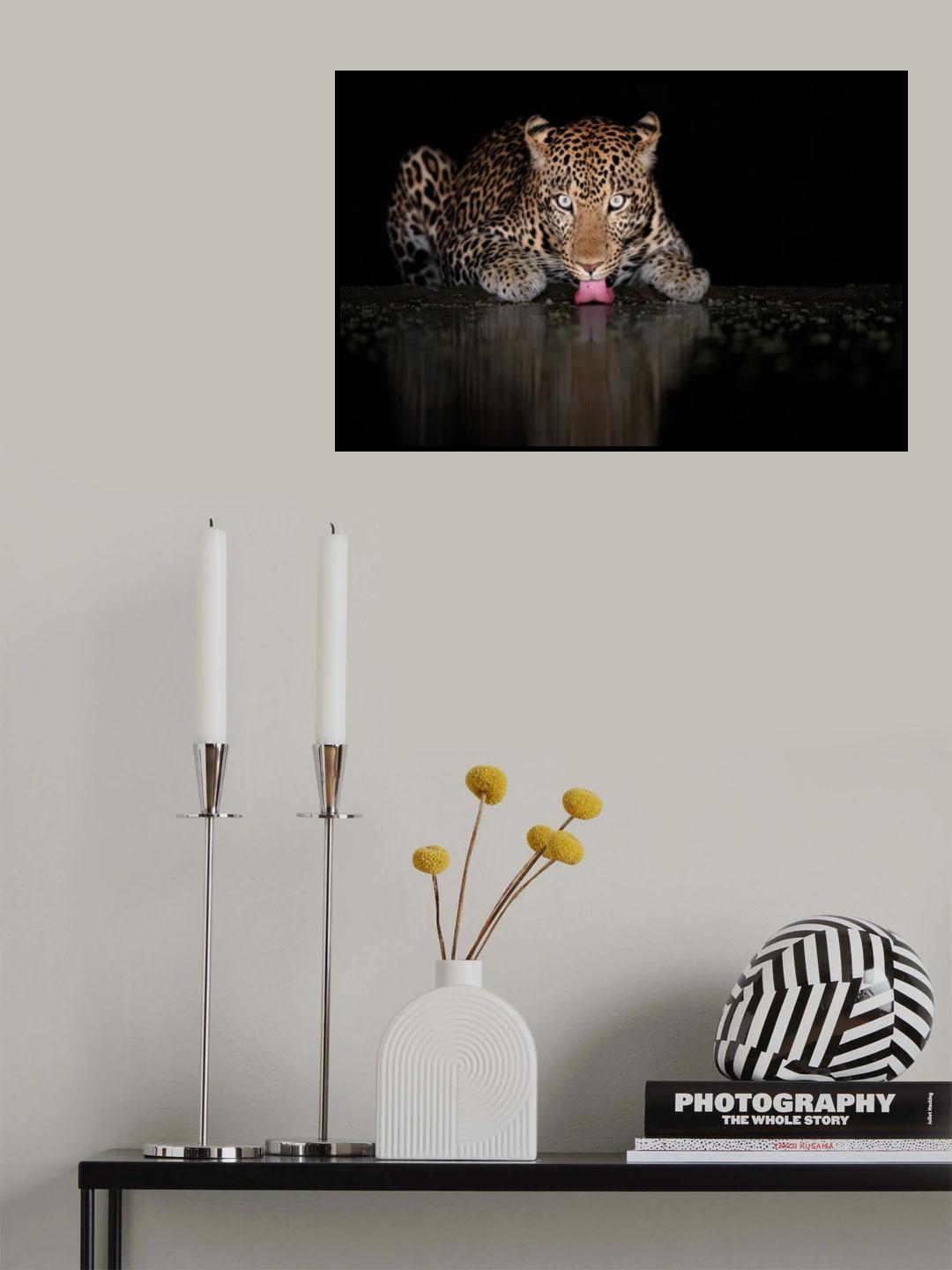 Leo Poster och Canvastavla