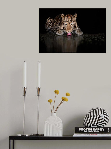Leo Poster och Canvastavla
