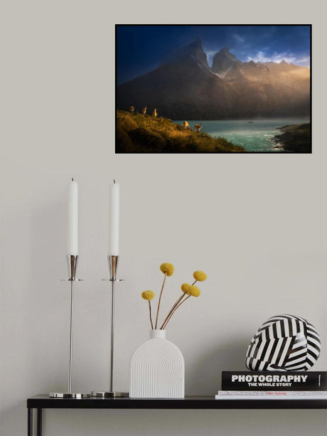 Immersing  in the golden lights Poster och Canvastavla