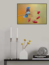 Eastern Bluebird Poster och Canvastavla