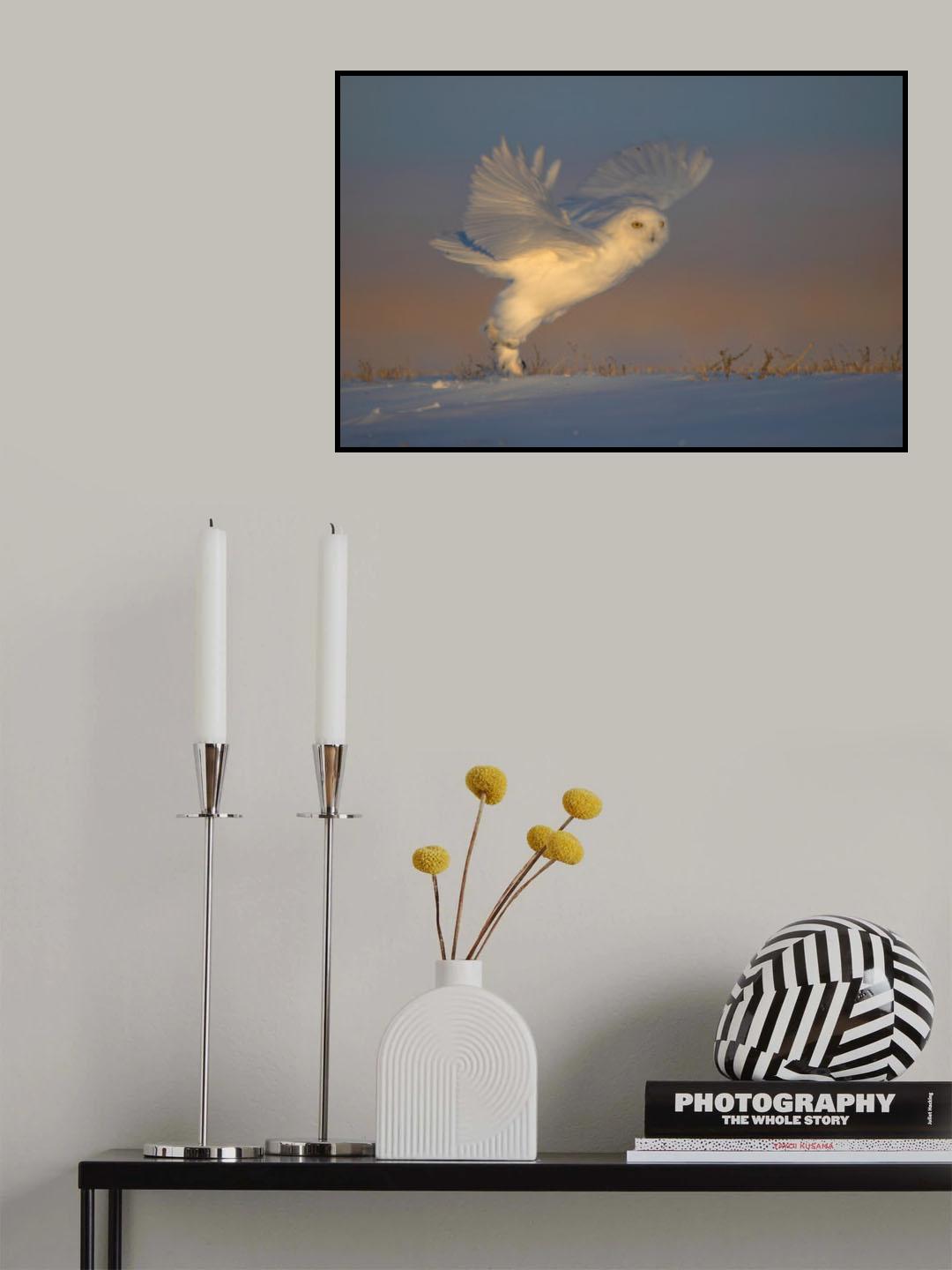 A Happy Morning Poster och Canvastavla