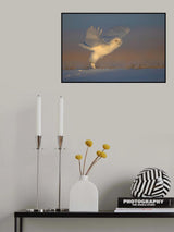 A Happy Morning Poster och Canvastavla