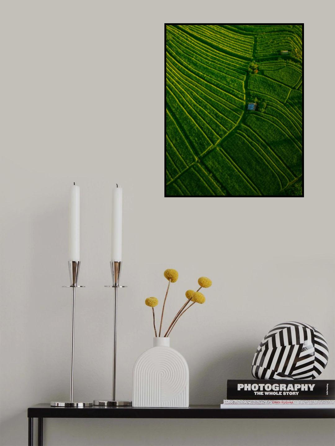 The Morning Light Poster och Canvastavla